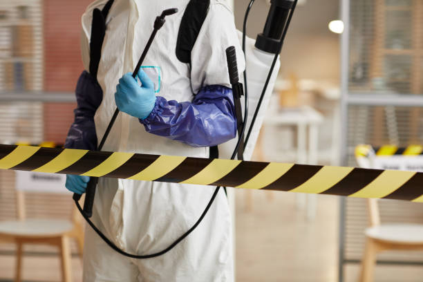Professional Sewage Cleanup technician working in Alexandria, MN